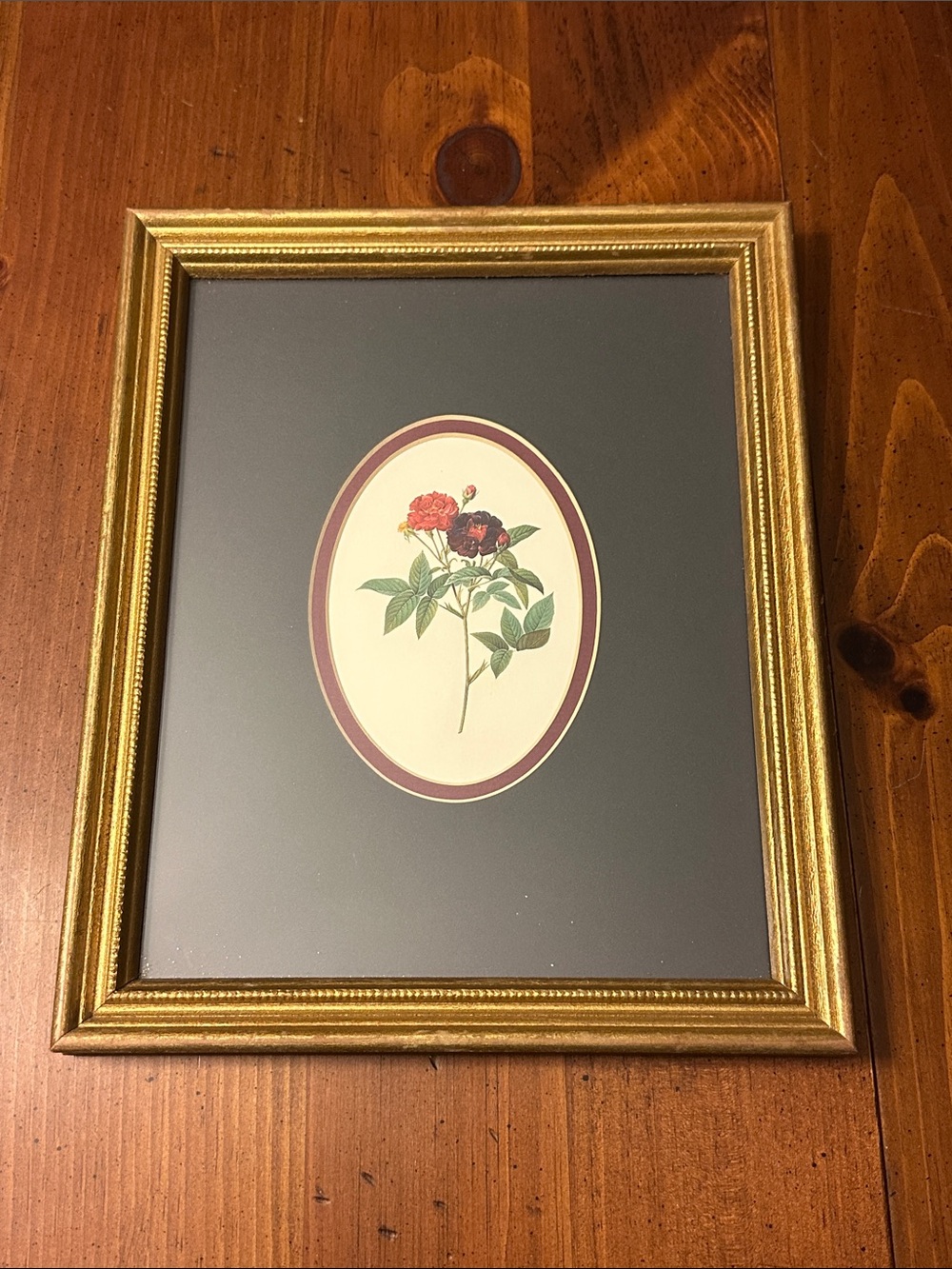 Floral Gold Framed Picture